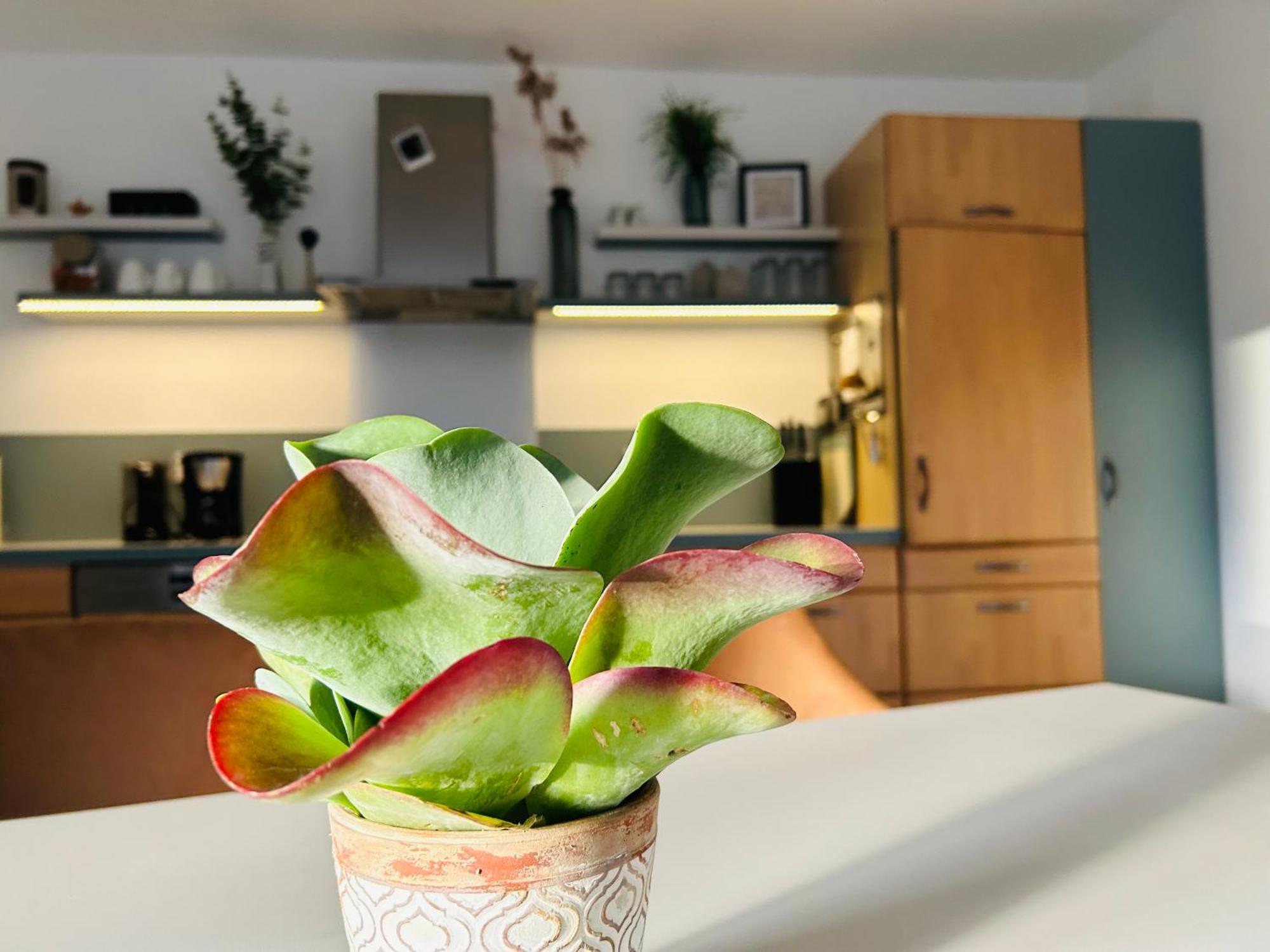 137Hideaway Ferienwohnung Eichstaett Εξωτερικό φωτογραφία