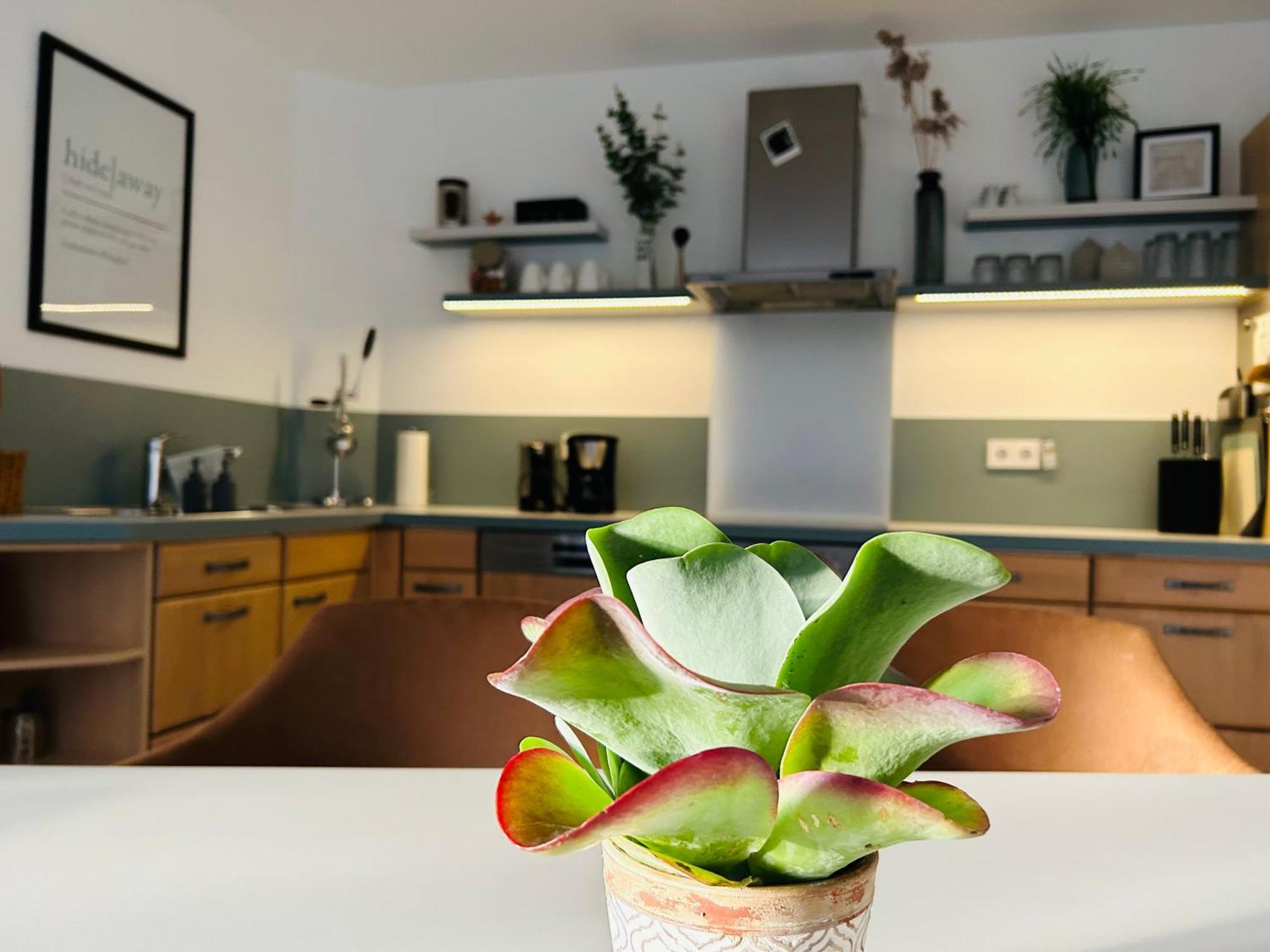 137Hideaway Ferienwohnung Eichstaett Εξωτερικό φωτογραφία